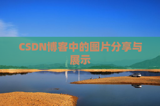 CSDN博客中的图片分享与展示